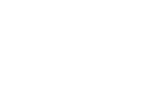 RidgeRun.ai